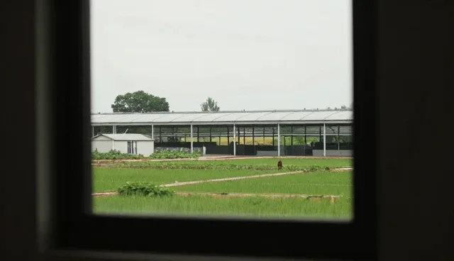 网络建设公司网站设计需注意的检查要点