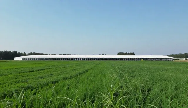 武汉做网站的公司如何高效获取供求信息