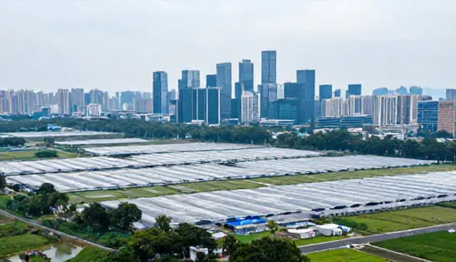 找公司做网站:性能优化的具体分析重点