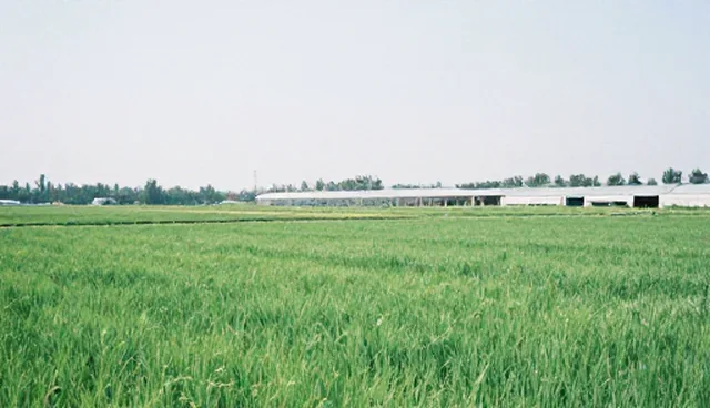 莱芜网站建设：线上政策解读支持分析