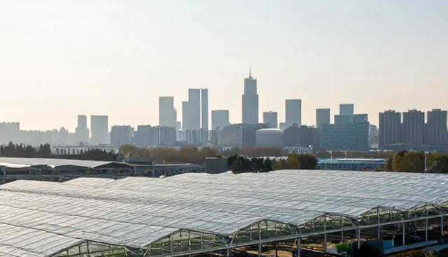 企业名录展示的适用场景与使用限制分析