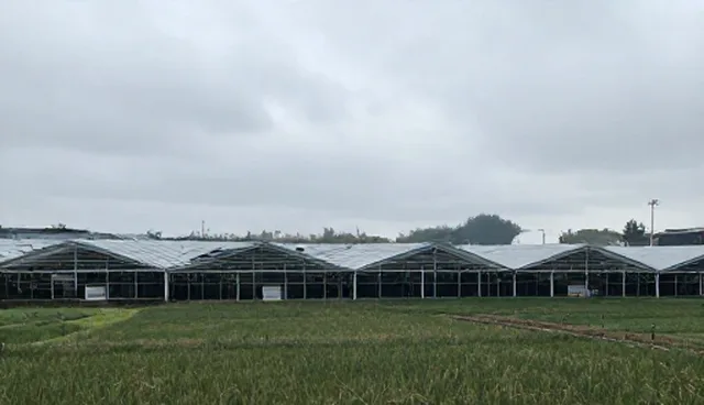 淮北建网站需澄清供求信息发布误区