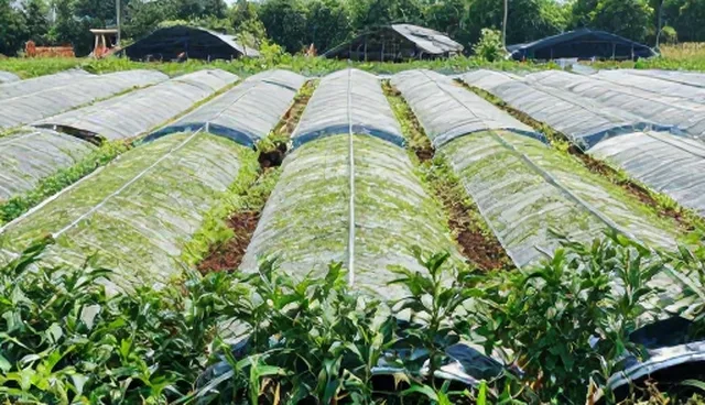 渭南网站建设中常见的理解偏差与选型建议