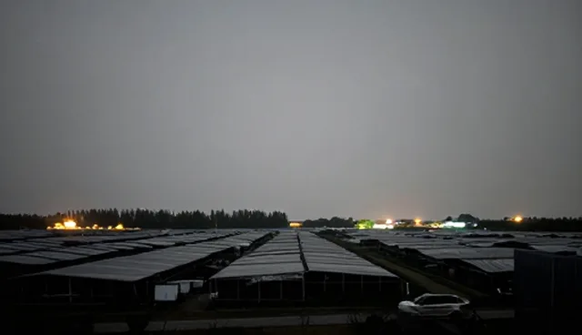 建站公司上海如何影响信息管理效率