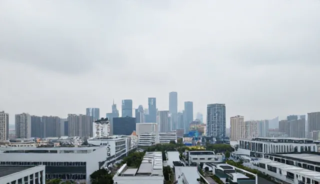 广州网页设计如何实现企业名录展示？