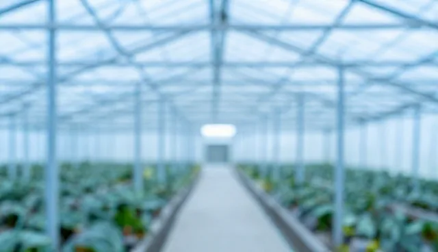 荥阳网站建设如何选择合适的线上推广套餐?