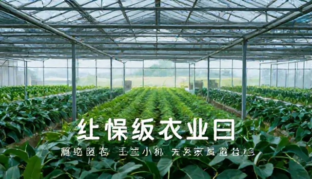乌鲁木齐网站建设如何优化基础信息展示服务