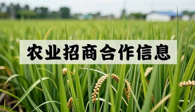 舟山网站建设有哪些常见误区?