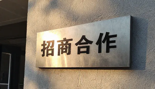 东营建站信息发布如何实现高效招商合作