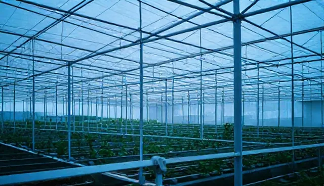 广告策划文案格式：如何提升供求信息发布效果